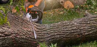Best Landscape Design and Installation  in Poulsbo, WA