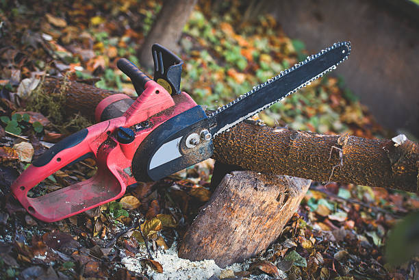 Best Storm Damage Tree Cleanup  in Poulsbo, WA